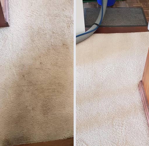 Carpet Cleaners Ipswich