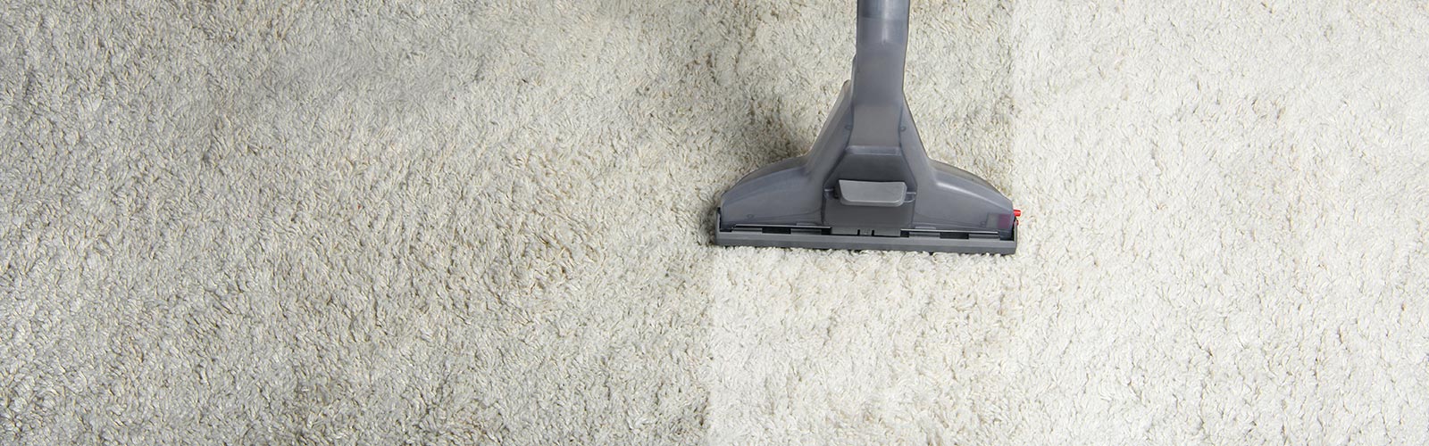 Professional Carpet Cleaning Services Ipswich
